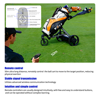 Chariot de golf électrique en gros, 3 roues, batterie lithium 36 trous, capacité de montée 30 degrés, moteur 360W, télécommande, usage intensif, location