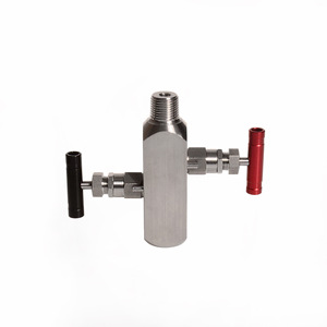 Collecteur à deux vannes en acier inoxydable, filetage 1/2 NPT, résistant à la pression et aux hautes températures - Product Image 5