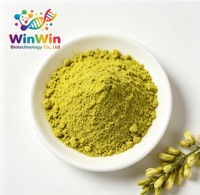 Extrait de Sophora Japonica naturel à 95 % en poudre, quercétine, fourni par l'usine