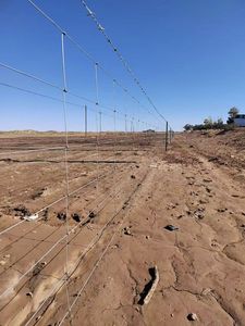Clôture en fil d'acier robuste de 1,9 m de haut <span class=keywords><strong>et</strong></span> 50 m de long pour ranch, pâturage, ferme ovine, prairie, champ agricole, chèvres <span class=keywords><strong>et</strong></span> bovins - Product Image 6