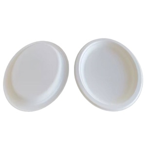 Platos Resistentes de Bagazo de Caña de Azúcar, Resistentes al Aceite, Compostables, para Comidas Diarias y Comida para Llevar - Product Image 1