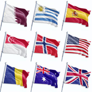 מותאם אישית דו צדדי 3x5 רגל מעופפת דגל פוליאסטר דגלים משלוח מהיר מלאי קידום מכירות פוליאסטר - Product Image 3