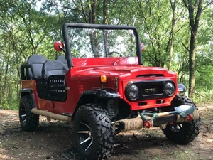 Vehículo Todoterreno 4x4 Más Popular, Mini Jeep Personalizado de Fábrica, Buggy Todoterreno en Oferta - Product Image 5