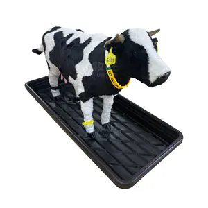 Veterinary Equipment For Dairy Cow Farm Cattle Plastic Cow Foot Bath Pot Footbath Container