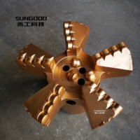 Usine 7 pouces 177mm 5 lames Concave PDC Bits PDC Drag Bit PDC Blade Bit pour le forage de puits