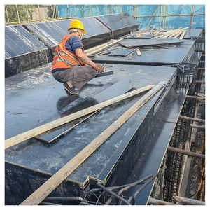 Contrachapado de Álamo Resistente E1 de 9 mm de Diseño Moderno para Construcción de Edificios Altos, Entrega Rápida, Ecológico, para Exteriores y Cemento - Product Image 1