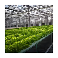 Système hydroponique multi-travées de serre couverte de film agricole et contrôle du climat pour tomates et concombres en vente