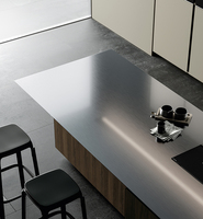 Meuble de cuisine moderne Song Design avec panneau de porte en acier inoxydable, finition en acier inoxydable, garantie 5 ans, pieds en acier inoxydable