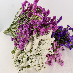 Ramo de Flores Secas, <span class=keywords><strong>No</strong></span> Me Olvides, Flores Secas <span class=keywords><strong>para</strong></span> Decoración del Hogar, Decoración de Bodas - Product Image 5