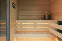 Cabine de sauna extérieure de style nordique, maison de sauna en bois foncé avec zone de refroidissement intégrée