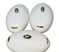 Lot de 3 plats isothermes ovales 4L, 5L, 6L avec bouton doré, empilables et emboîtables, pour maintien au chaud des aliments, idéal pour le Ramadan, l'Iftar, les fêtes africaines