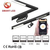 Rail magnétique blanc, noir, or de 20 mm, rail de suivi en aluminium, grille LED, spot lumineux 3W-20W DC48V, garantie 5 ans, salon, CB CE