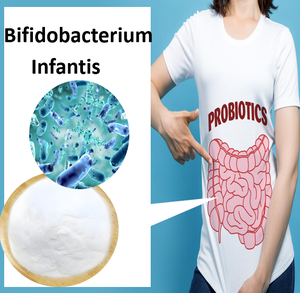 Bifidobacterium infantis M-16v Bifidobacterium Breve ผงโปรไบโอติกแช่แข็งแห้งทางเดินอาหาร - Product Image 3