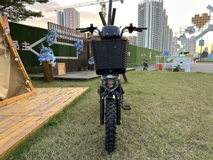 Bicicleta Eléctrica Monster MINAKO 800W 60V 21Ah con Batería de Litio, Ciclomotor Eléctrico para Servicio de Entrega de Carga con Estantes Plegables - Product Image 4