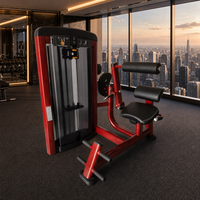 Nouvelle conception, équipement de fitness direct usine, machine d'extension abdominale/dorsale à charge par poulie pour salle de sport commerciale et usage domestique, avec garantie
