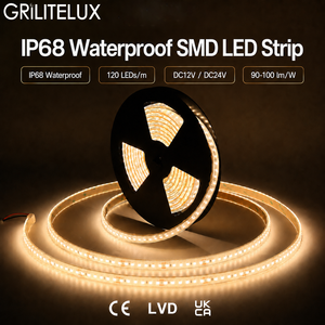 Flexible <b>LED</b> <b>Strip</b> 2835 120LEDs/m DC12V 12-14W Ra90 90-100lm/W IP68 Silicone Filled Tube for Landscape Accents - Product Image 1