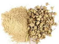 Magiccann India LLP Poudre d'extrait de racine de Gokhru (Tribulus) sauvage pur pressée à froid, conditionnée en conserve, qualité alimentaire, herbe nutritive