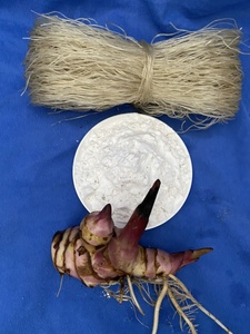 Nouilles de fécule de vermicelles de la meilleure qualité, fabriquées au Vietnam - Product Image 2