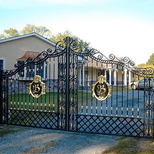 Portails de jardin design contemporains automatiques en fer forgé <span class=keywords><strong>portail</strong></span> d'allée <span class=keywords><strong>coulissant</strong></span> - Product Image 6