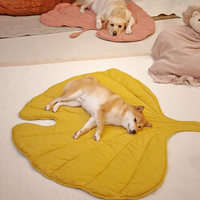 Tapis pour animaux de compagnie en polyester respirant et chaud à motif de feuilles créatif, extra-large, universel, épaissi, lavable en machine, pour toutes les saisons