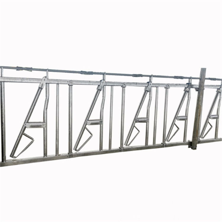 Cattle Mechanized Headlocks Fencing Dairy Farm