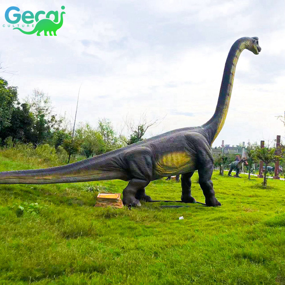 เหมือน picture7b1e56