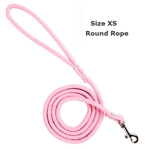 Guinzaglio per Cani di Lusso Durevole, Semplice e Solido, Colori Vivaci, 16 Cinghie Piatte in PU con Moschettone in Metallo - Product Image 6