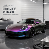 Peinture Super Caméléon à Effet de Couleur Changeante pour Voiture, Revêtement Magique à Couleurs Variables pour la Rénovation Automobile et la Peinture de Carrosserie