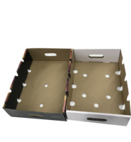 Cajas de Cartón Corrugado para Frutas como Cerezas y Fresas, con Recubrimiento UV Personalizado, Reciclables y de Alta Calidad, en Oferta