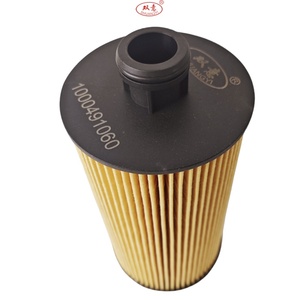 Xe tải động cơ diesel Lọc xe tải lọc dầu 1000491060 lọc dầu tốt yếu tố fp36960 so15015 xe tải động cơ hệ thống - Product Image 1