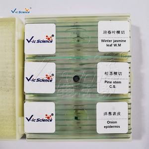 Portaobjetos de Botánica, Portaobjetos de Biología, Portaobjetos de <span class=keywords><strong>Microscopio</strong></span> de Botánica, Epidermis de Bulbo de <span class=keywords><strong>Cebolla</strong></span> - Product Image 2