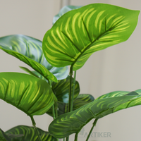 Mini plantes artificielles en pot Calathea mazoyana plantes artificielles avec Pots en plastique décoration de la maison