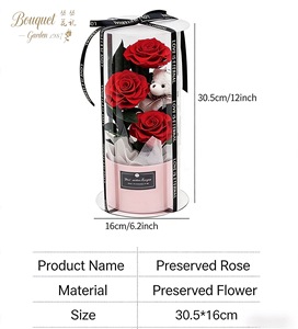 Coffret Cadeau Ours en Roses pour la Fête des Mères 2026 – Fleurs Éternelles Préservées Faites à la Main – Fournisseur d'Usine – Cadeau Idéal pour Maman - Product Image 4