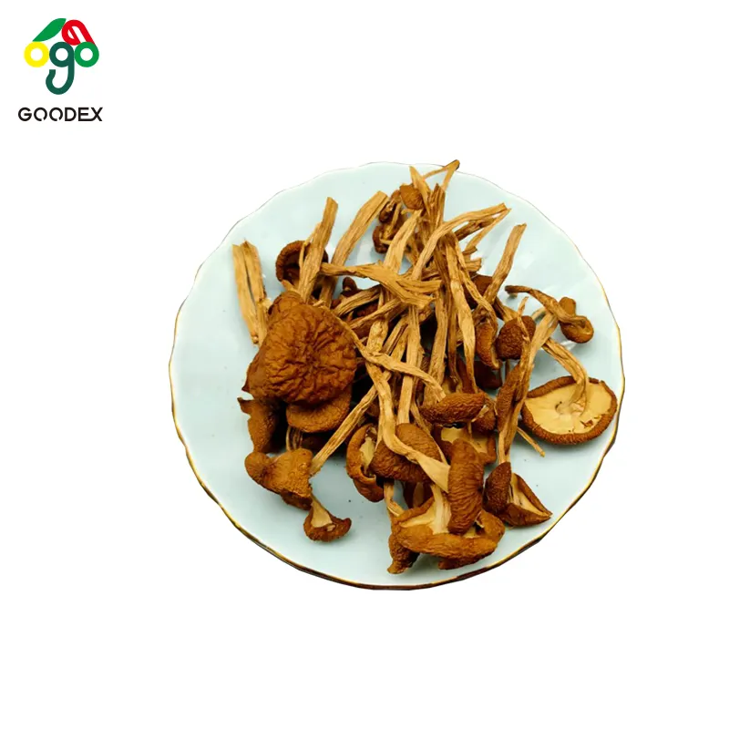 China manufacture edible organic dried agrocybe cylindracea tea tree mushroom