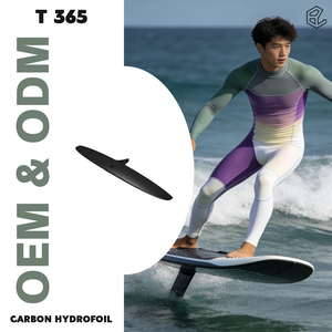 Alerón Trasero de Carbono AXIS para Wing Foil, Modelo 365/55, Alerón Delgado, Fácil Control, Estabilizador para Deportes Acuáticos Freeride - Product Image 1