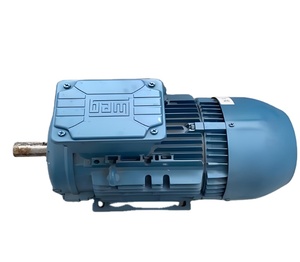 Moteur asynchrone triphasé à émissions zéro, boîtier en aluminium Weg, 15 kW, 1000 tr/min, 460/480 V, moteur personnalisable - Product Image 4