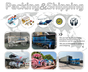 รถสำหรับงานศพปรับแต่งได้รถงานศพพิเศษ - Product Image 5