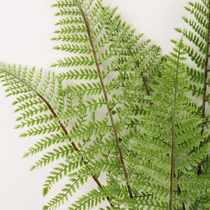 Fougères artificielles, Fougère persane à tige unique, à trois branches, haute simulation, style nordique, plantes vertes décoratives pour la maison et le bureau - Product Image 3
