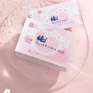 Custom Individually Wrapped Women Wet Wipes Flushable Non-woven Degradable PH Balance Yoni Wipes Vaginal Feminine Cleaning Wipes