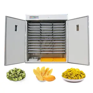 Paslanmaz çelik gıda yosun deniz kurutucu makinesi kırmızı biber Mango Copra kurutma makinesi bırakır
