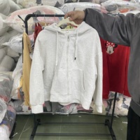 Lots de sweats à capuche d'occasion pour boutiques – Vente en gros de sweats à capuche de seconde main pour la revente