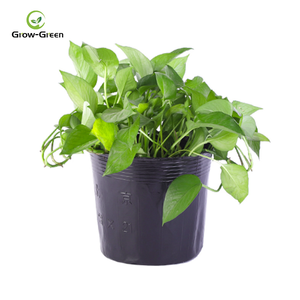 Rond Noir Pots de Pépinière <span class=keywords><strong>En</strong></span> <span class=keywords><strong>Plastique</strong></span> Tasses <span class=keywords><strong>pour</strong></span> transplantation de semis - Product Image 3