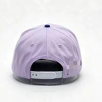 Topi Olahraga Berkualitas Tinggi Bordir Logo Custom Grosir 100% Katun Empat Musim, Pinggiran Melengkung 5 Panel Unisex Snapback