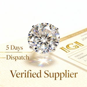 Deux Dimnts Ronds Et Brillnts Nturels De 0,80 Crt, Certifis G VS1 Gia Certificate For Sale