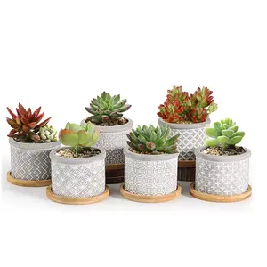 2.5 Inch Cement Succulent Pot mit Bamboo Tray Set von 6, Small Grey Concrete Planter Garden Cactus Plant Herb Container für Home