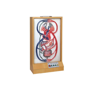 A2117 Modelo eléctrico de ciclo grande y pequeño de alta calidad multifunción médica que simula la circulación sanguínea de pulsación cardíaca - Product Image 2