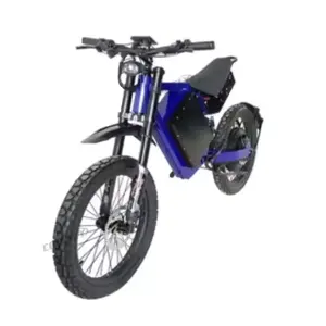 Tersedia 2023 kunci mulai lampu enduro dirt bike sur ron light bee x Dirtbike listrik