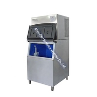 Monophasé 220V 500 KG acier inoxydable Cube machine à glaçons 400kg stockage moteur pompe moteur PLC pour boissons boissons Philippines