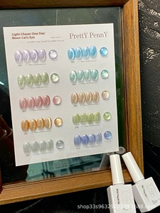 Pretty Penny 2025 Esmalte de Ojos de gato de 10 <span class=keywords><strong>colores</strong></span> de larga duración Esmalte de <span class=keywords><strong>uñas</strong></span> de gel UV Botella de fototerapia LED Embalaje para salones Nuevo Gel - Product Image 6