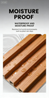 Panneaux de revêtement mural en PVC/WPC imperméables, faciles à installer, texturés, décoratifs, adaptés à la décoration architecturale